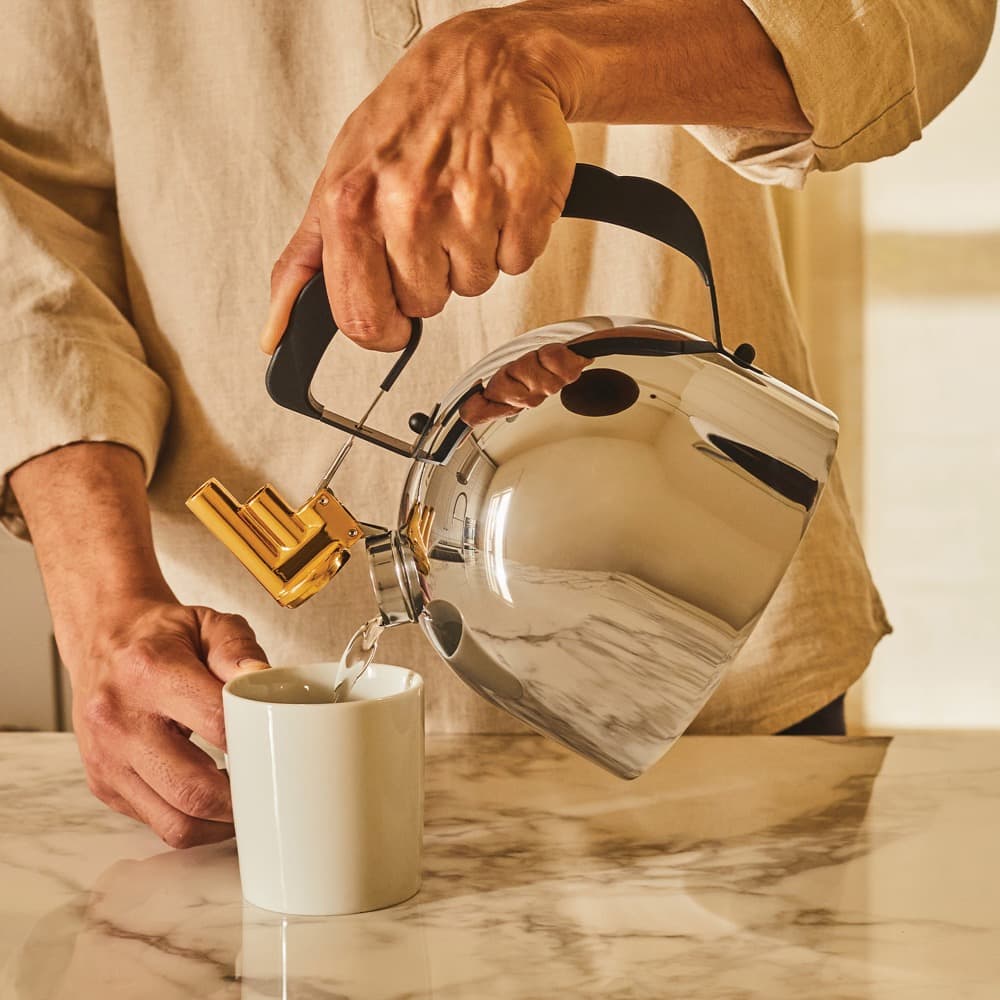 Richard Sapper Stainless Mirror Polished Whistling Stovetop Tea Kettle by Alessi - Image 4