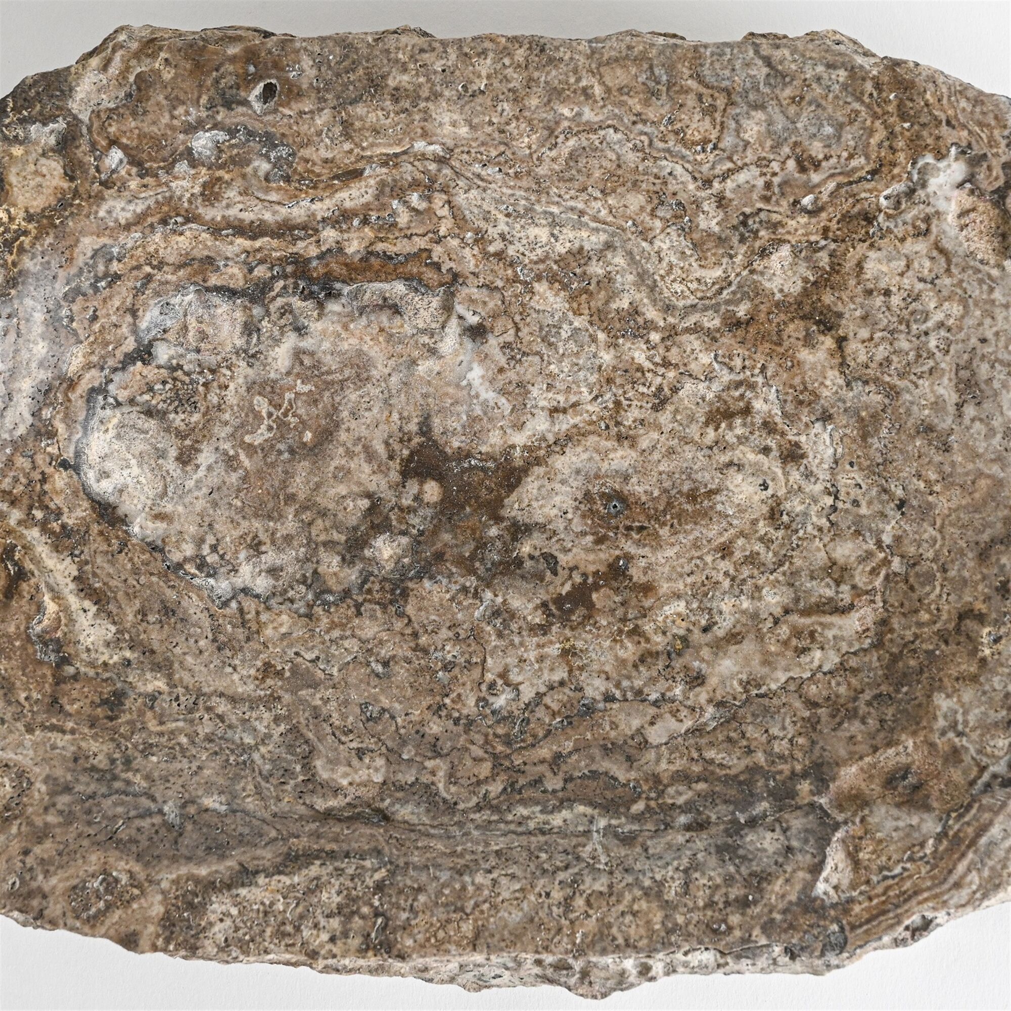 Grey Travertine Rough Organic Shaped Edged Bowl by BIDKhome - Image 3