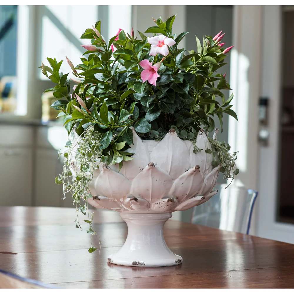 Small Gathered Garden Artichoke Planter by Abigails