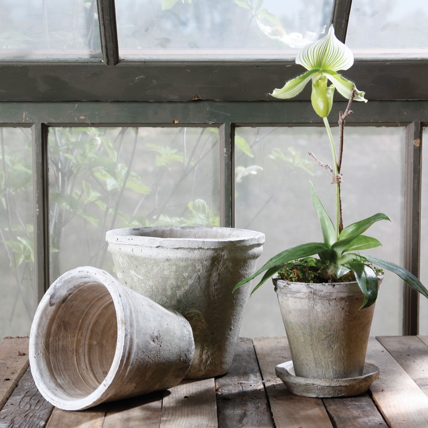 Large Rustic Terra Cotta Short Tomato Pot by HomArt - Image 2