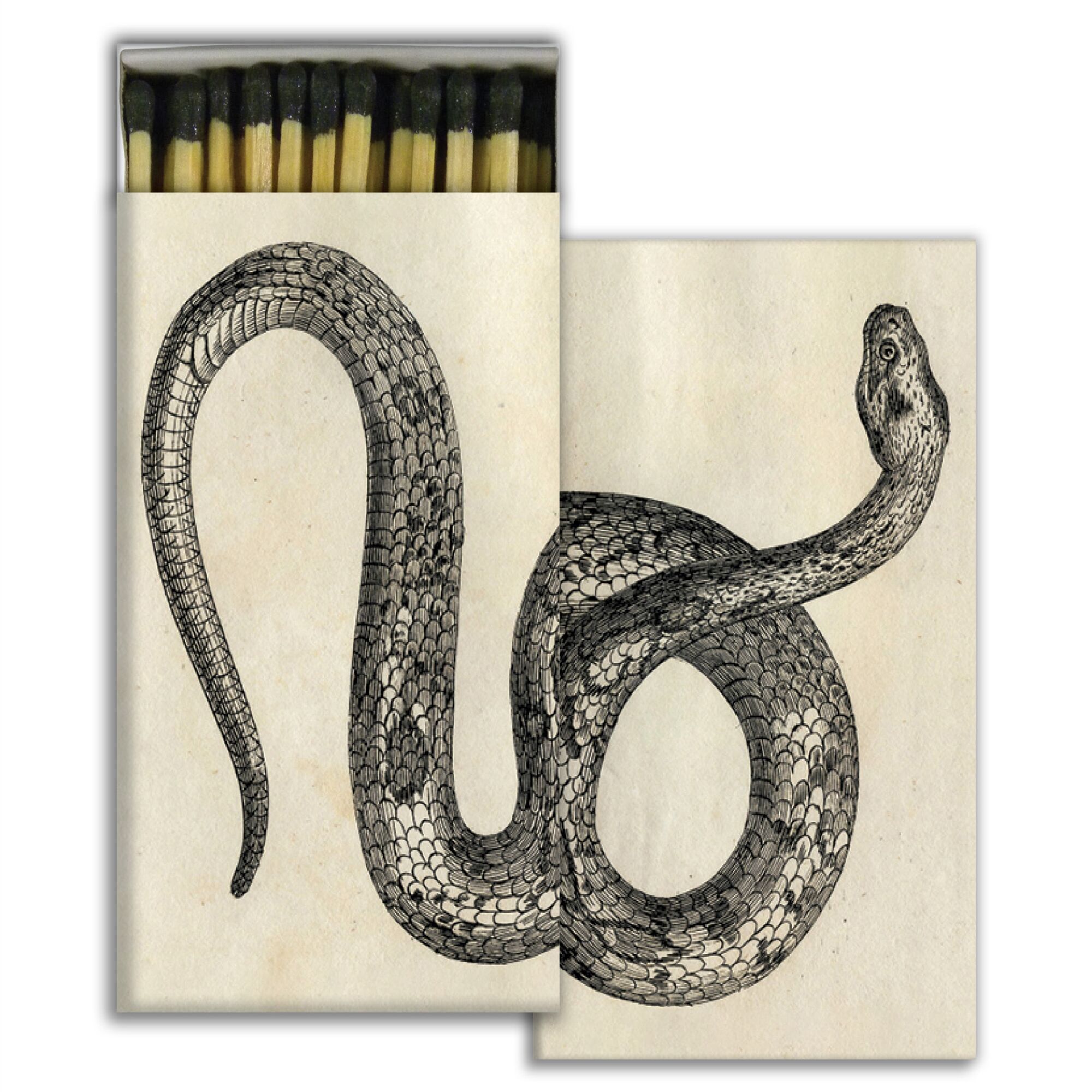 Snake Matches Set of 6 by HomArt
