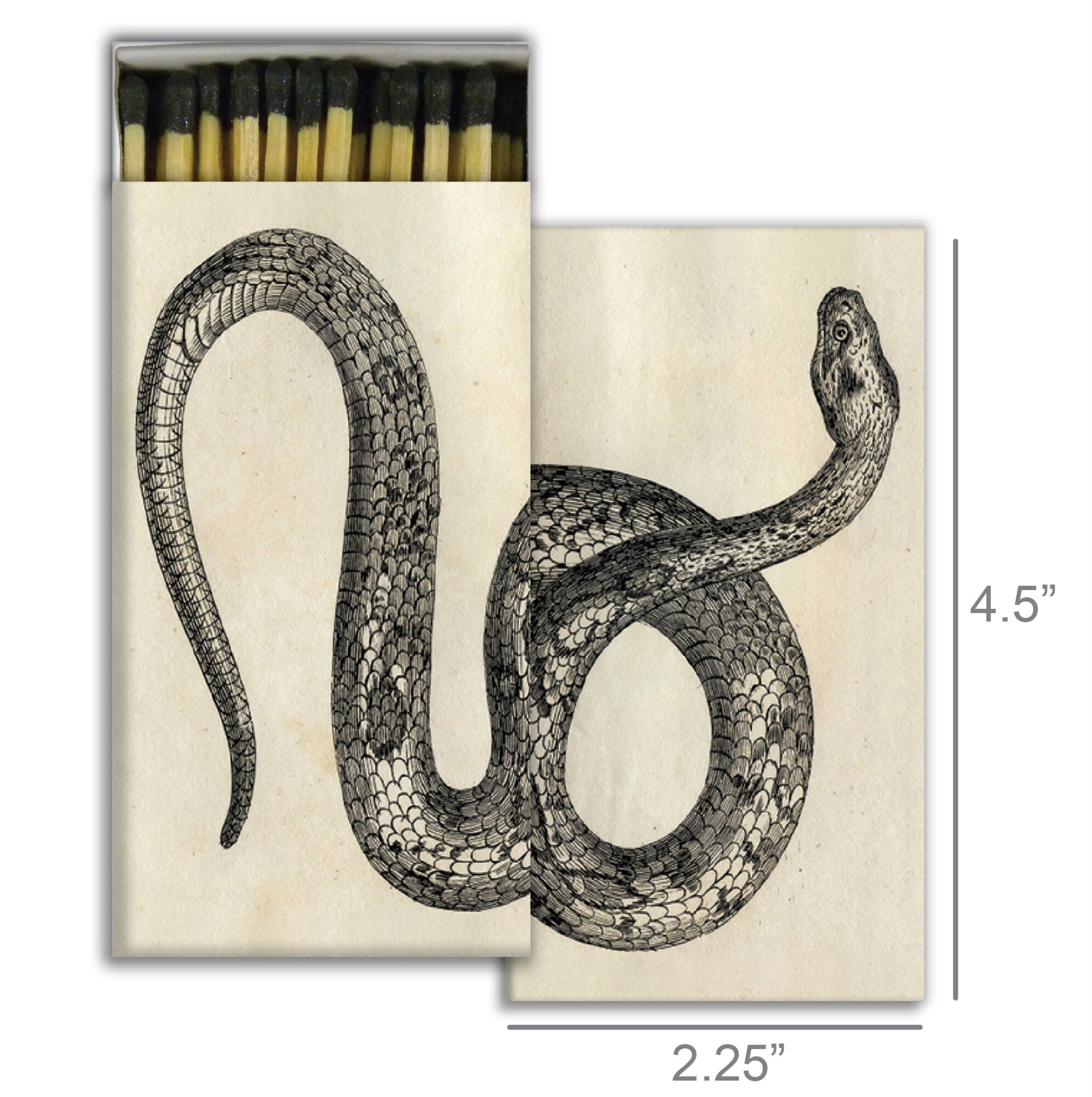 Snake Matches Set of 6 by HomArt - Image 2