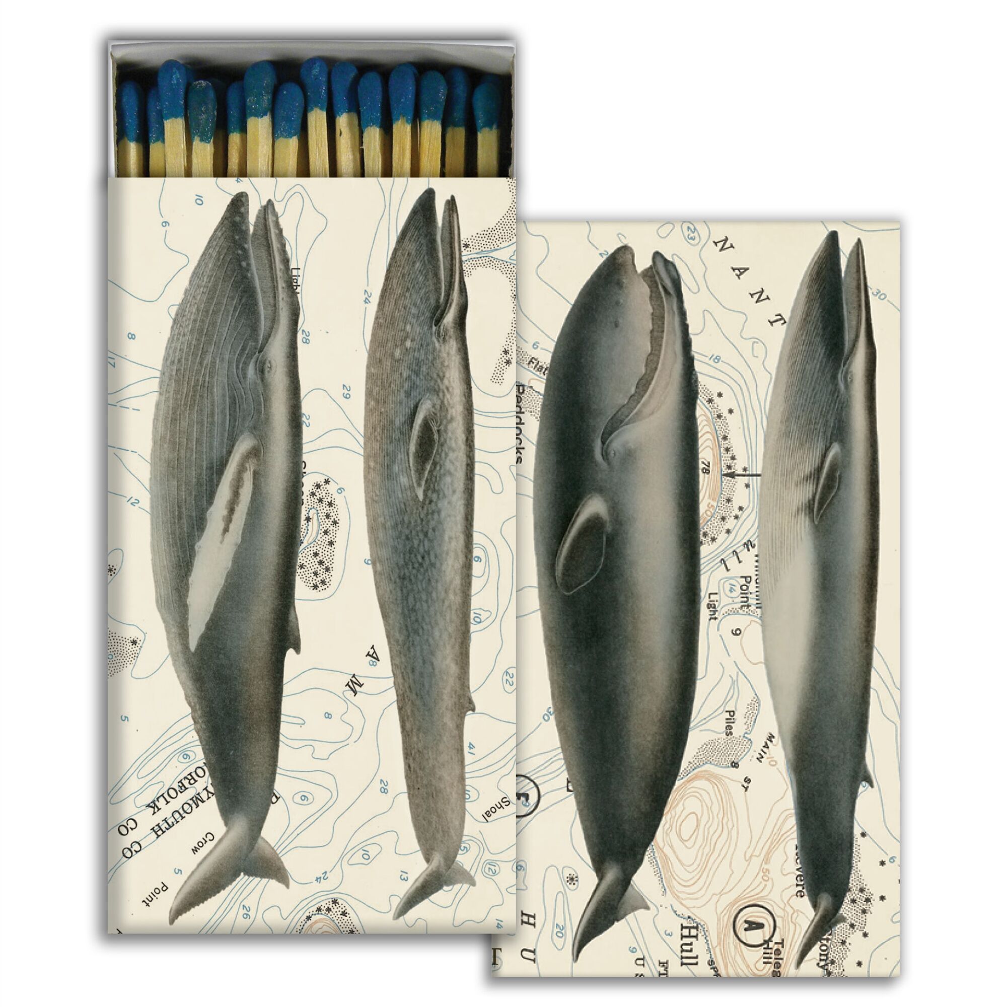 Whales Matches Set of 6 by HomArt