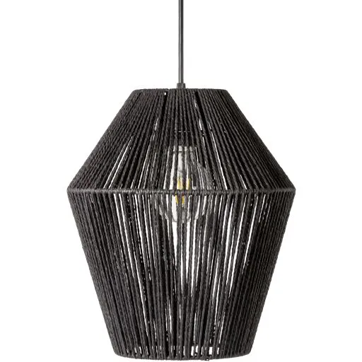 Black Camerano Pendant by Livabliss