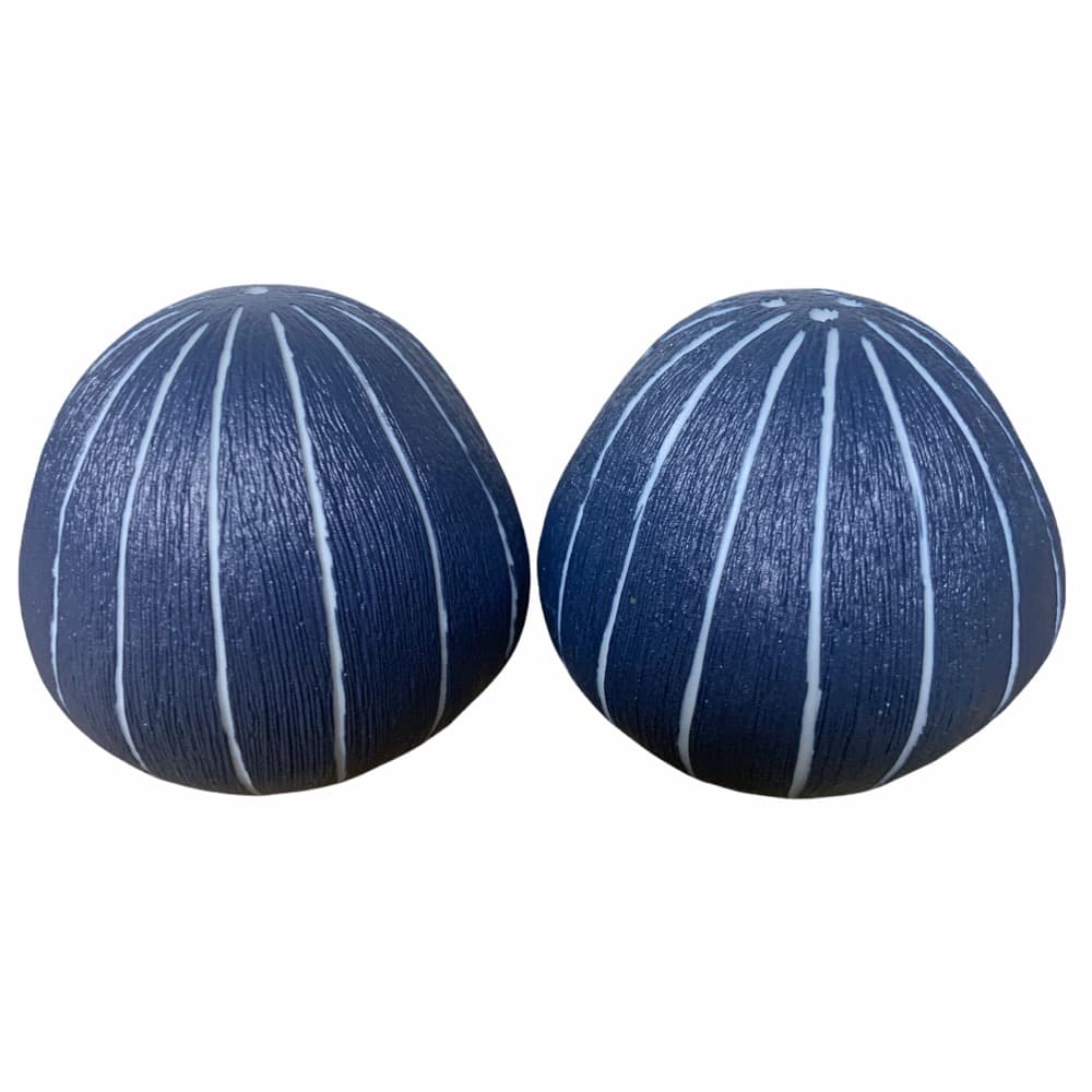 Pebble Blue/Blue Salt And Pepper Shakers by Art Floral Trading