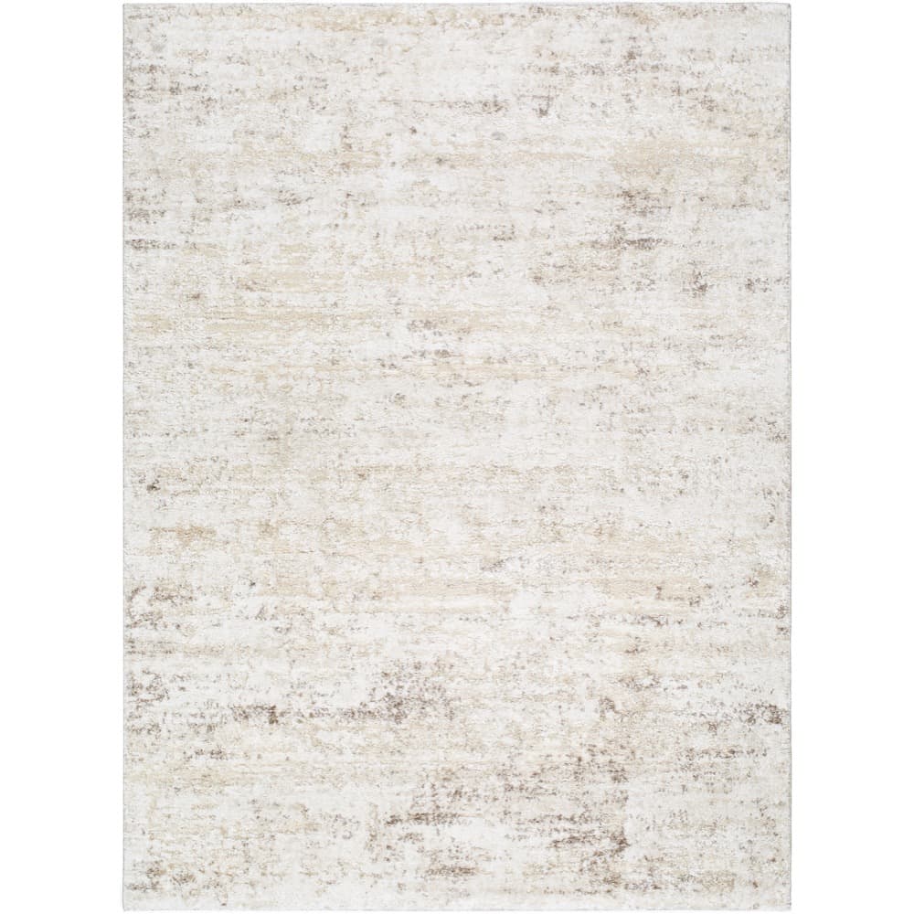Andorra Plus Light Gray Machine Woven Rug by Livabliss