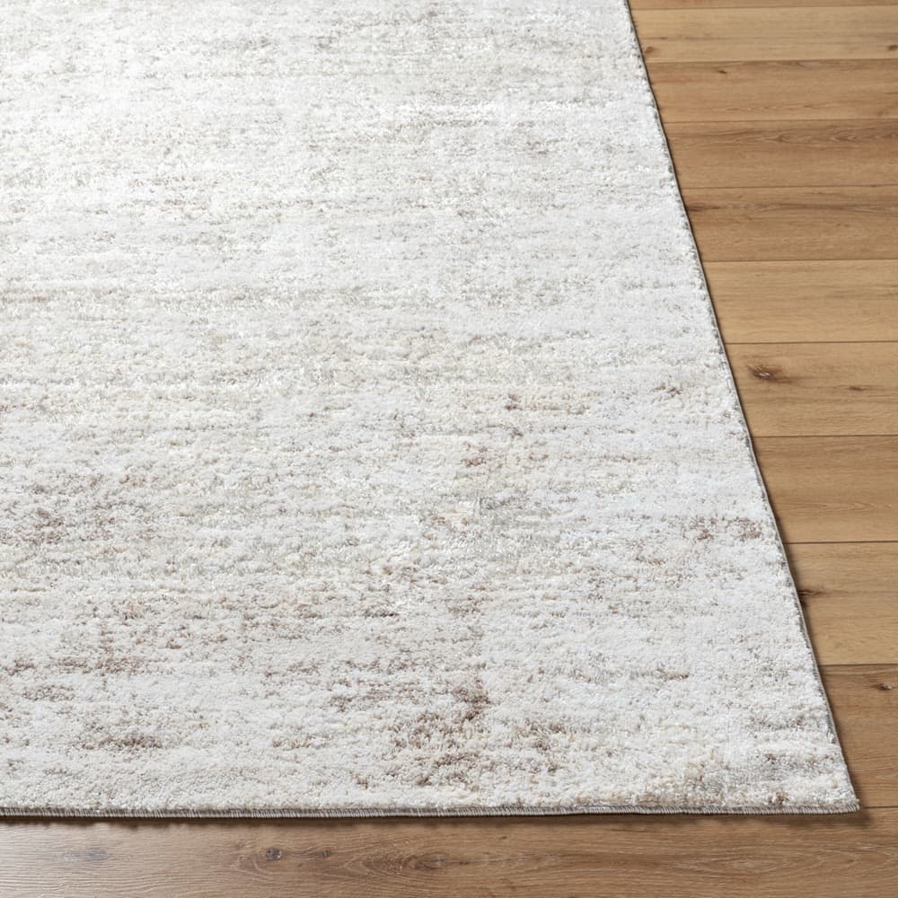 Andorra Plus Light Gray Machine Woven Rug by Livabliss - Image 4