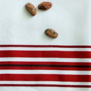 Rae Stripe Napkins Set of 6 by India Rose