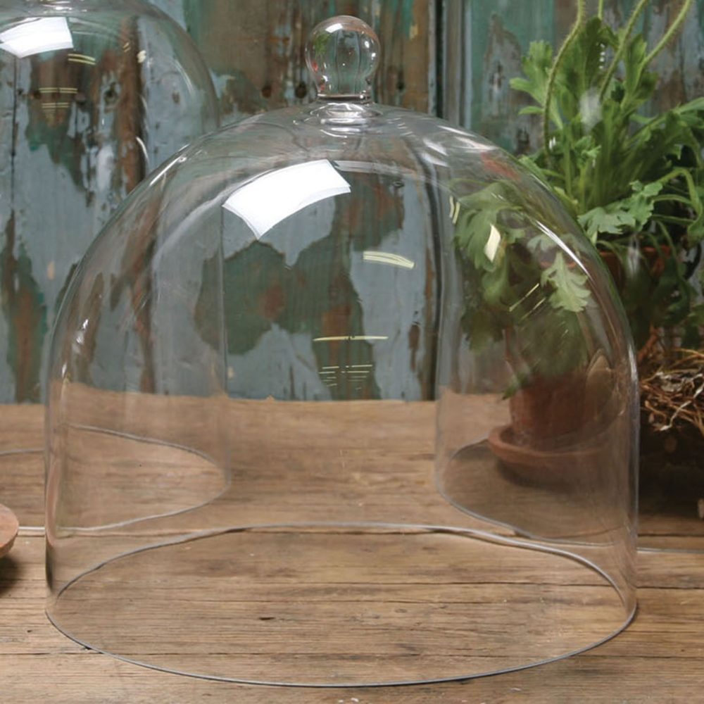 Large Clear Glass Dome by HomArt - Image 3