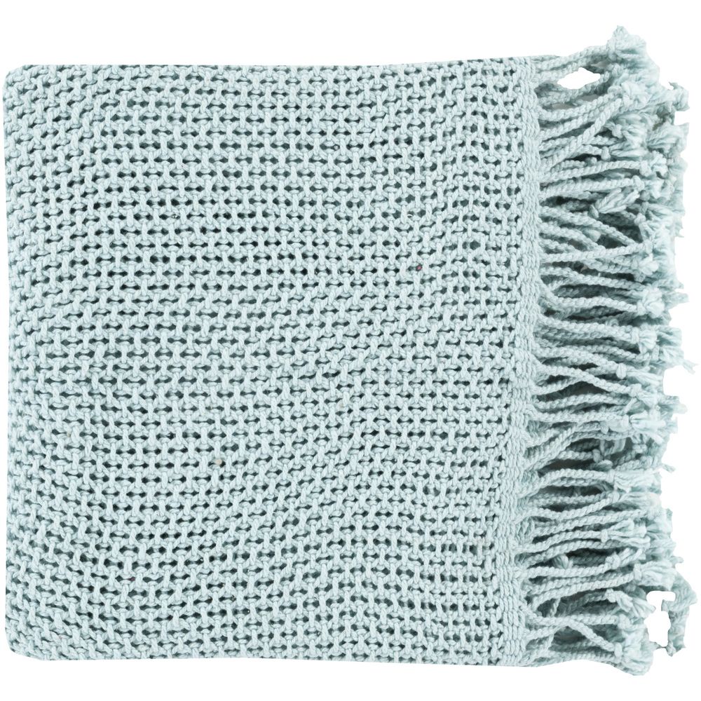 Pale Blue Tibey Throw by Livabliss