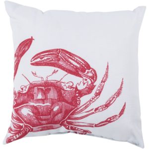 Poppy and Sky Blue Rain Outdoor Pillow