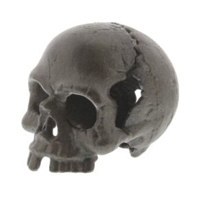 Cast Iron Skull by HomArt