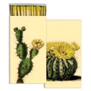 Cacti Matches Set of 6 Boxes by HomArt