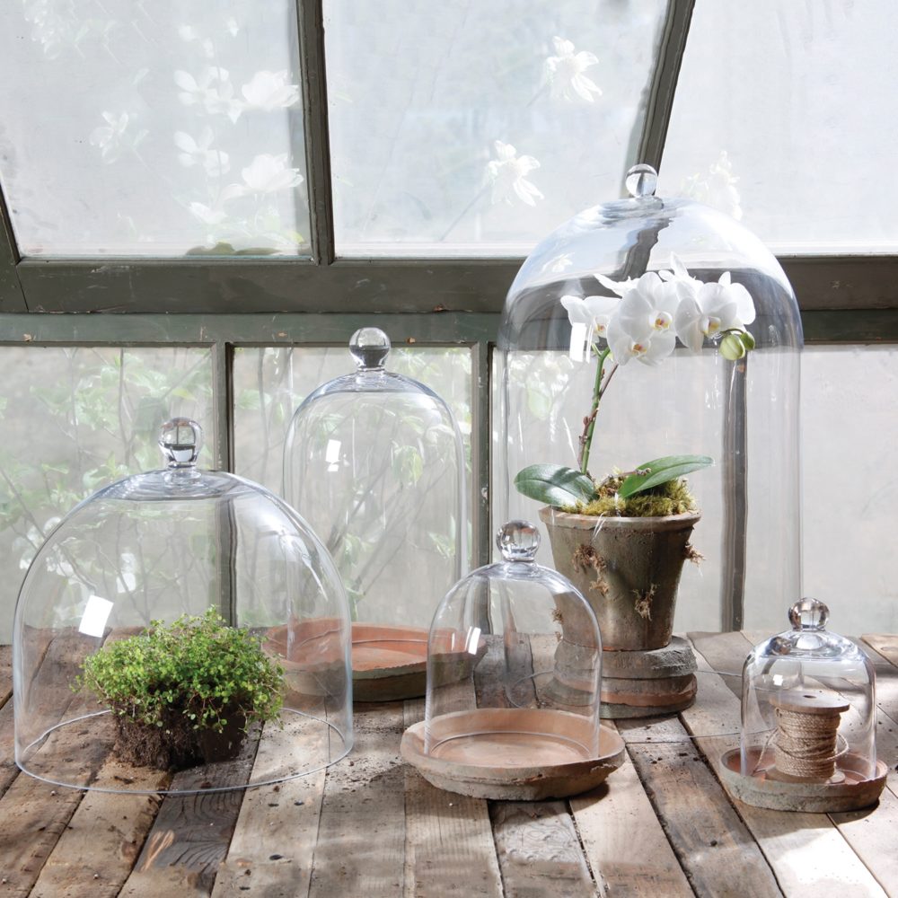 Small Clear Glass Dome by HomArt - Image 3