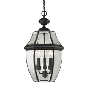 Ashford 3-Light Exterior Hanging Lantern In Black by Cornerstone