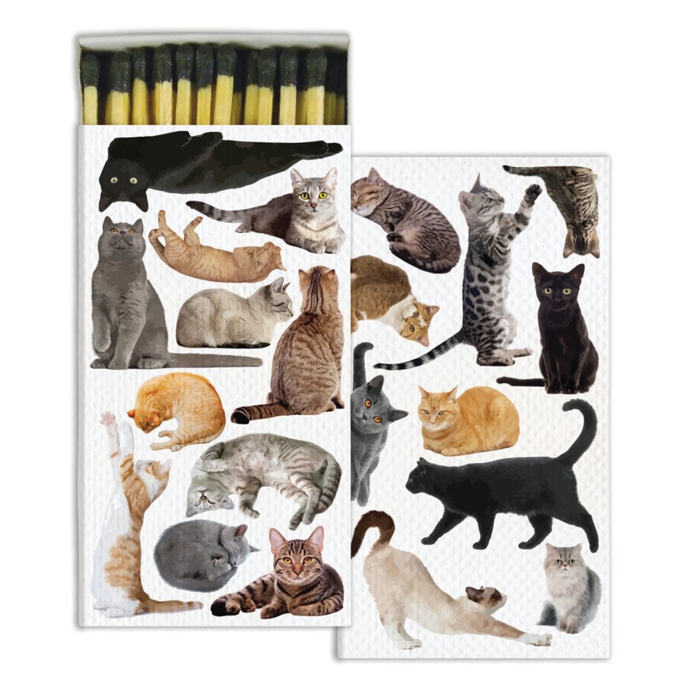 Cat Pack Matches Set of 6 Boxes by HomArt