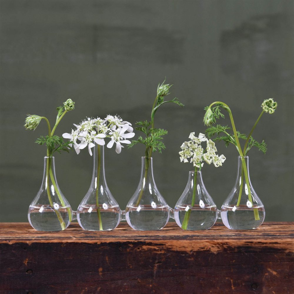 Quintet Glass Vase by HomArt