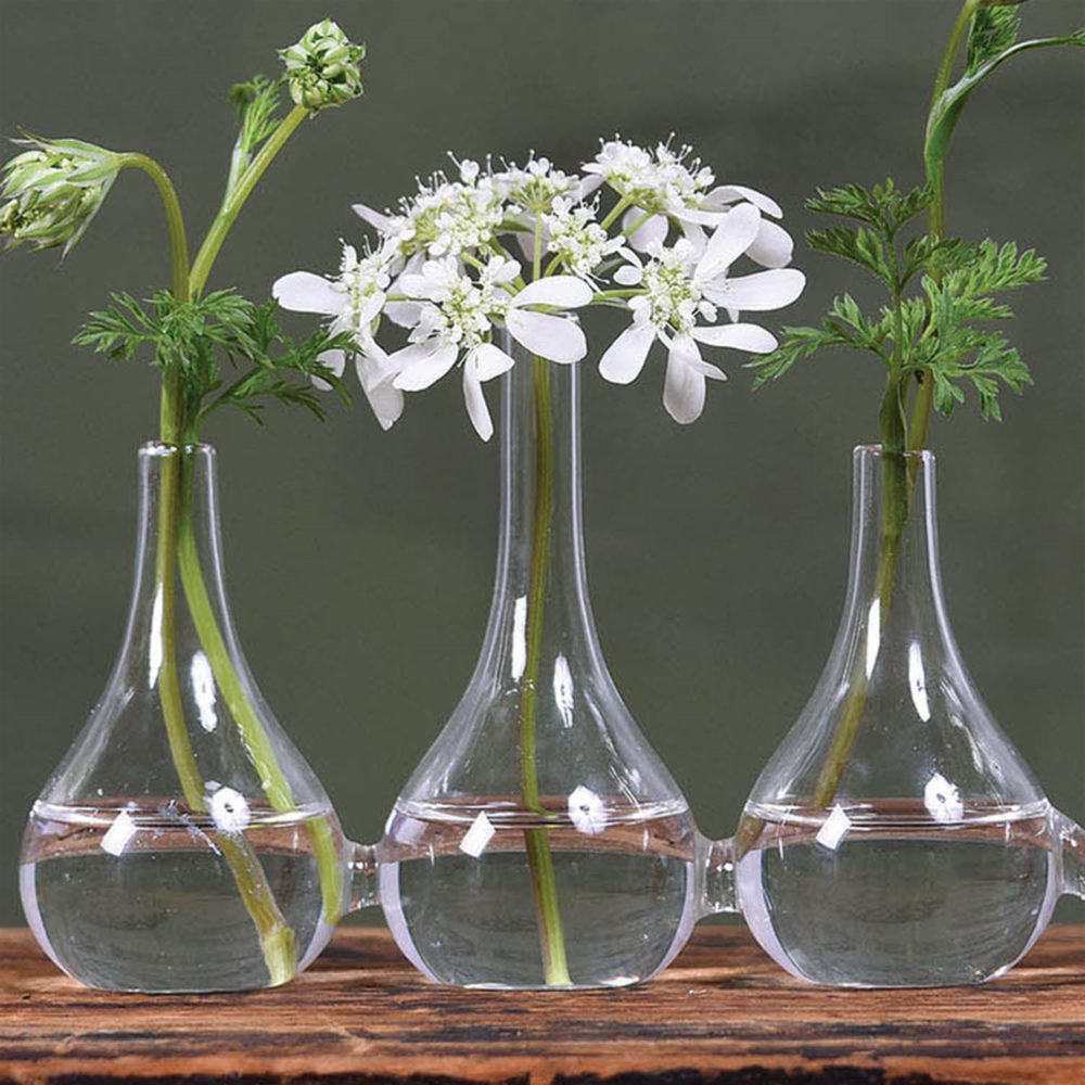 Quintet Glass Vase by HomArt - Image 2