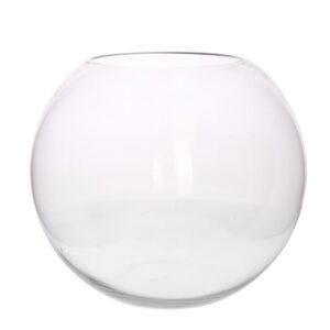Glass Sphere Bowl by HomArt