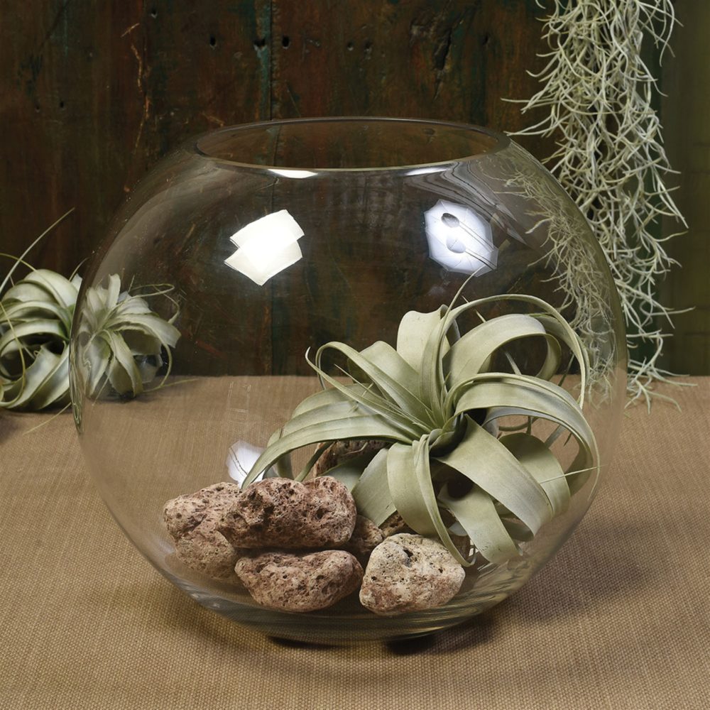 Glass Sphere Bowl by HomArt