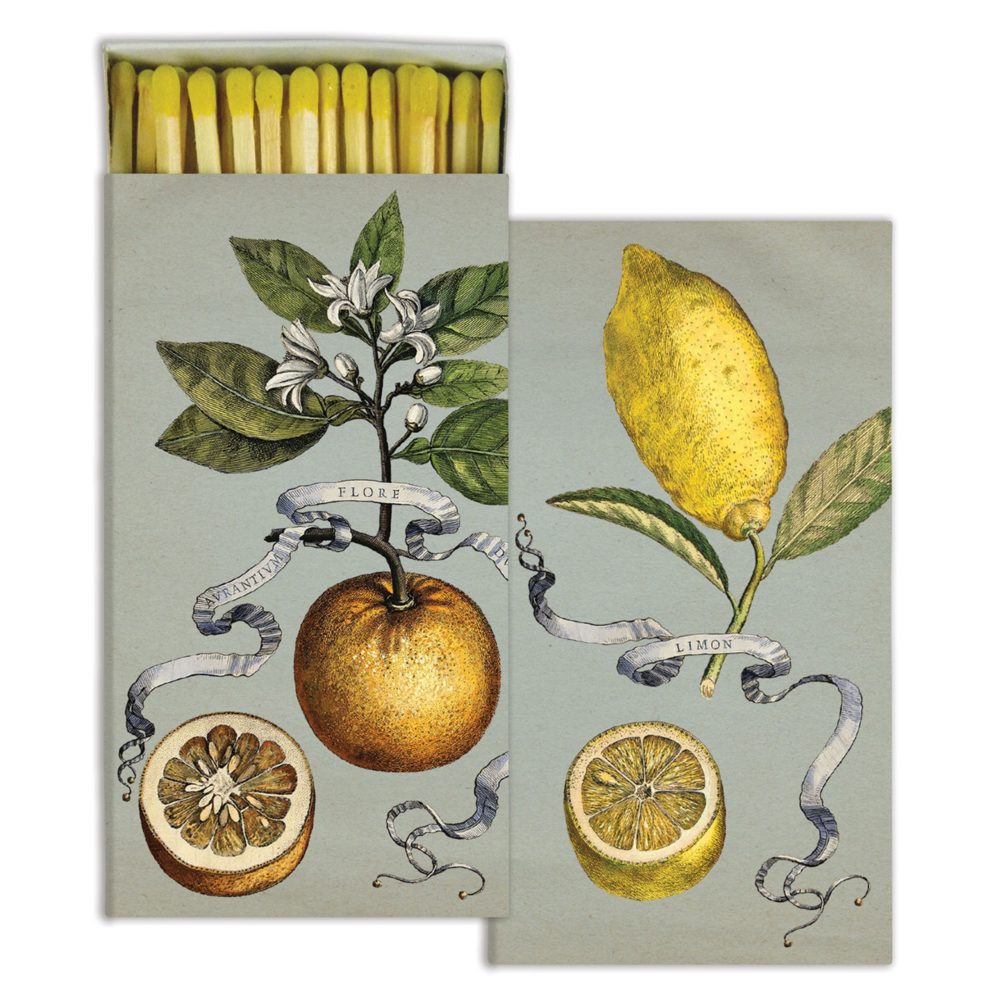 Citrus Matches Set of 6 Boxes by HomArt
