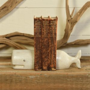 White Cast Iron Whale Bookends by HomArt