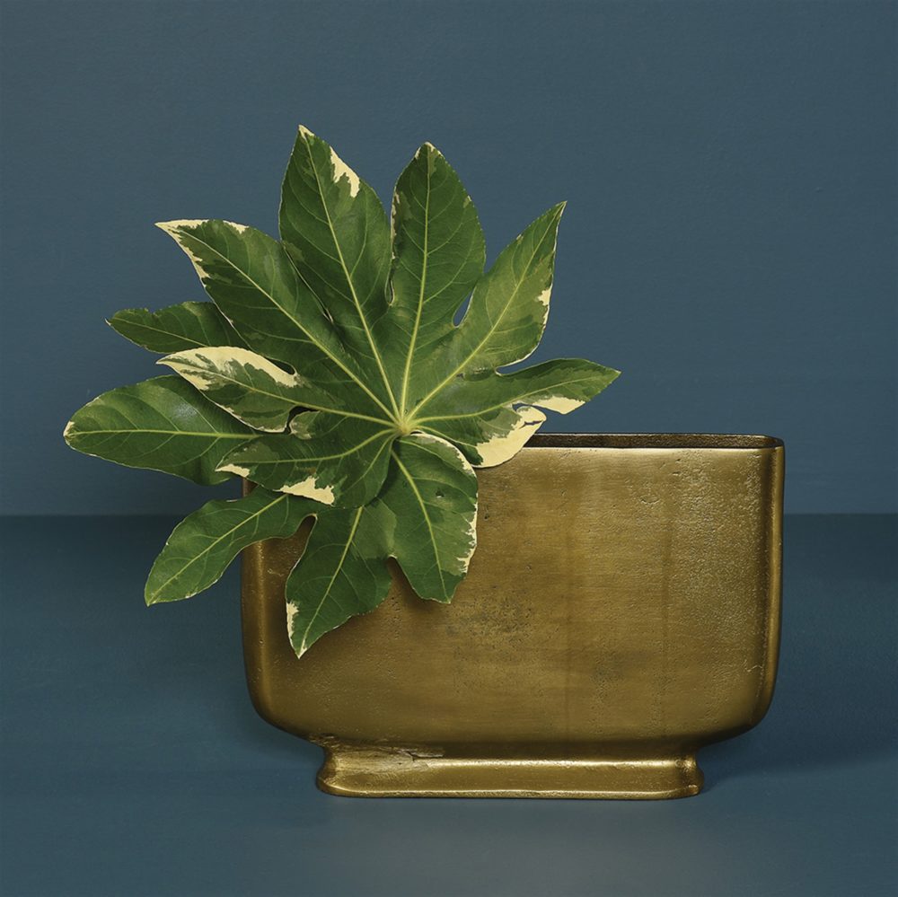 Brass Celia Vases by HomArt - Image 2