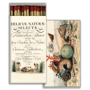 Seashells Matches Set of 6 Boxes by John Derian for HomArt