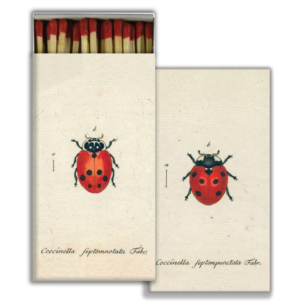Lady Bug Matches Set of 6 Boxes by John Derian for HomArt