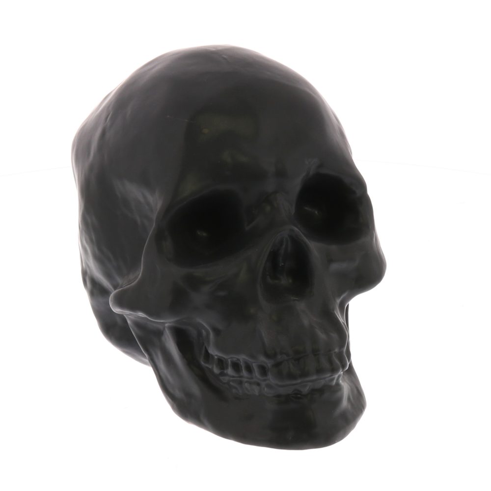 Matte Black Ceramic Skull by HomArt - Image 2
