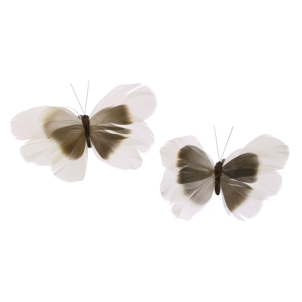 Brown and White Natural Feather Butterflies on Clip Assortment of 8 by HomArt - Image 6