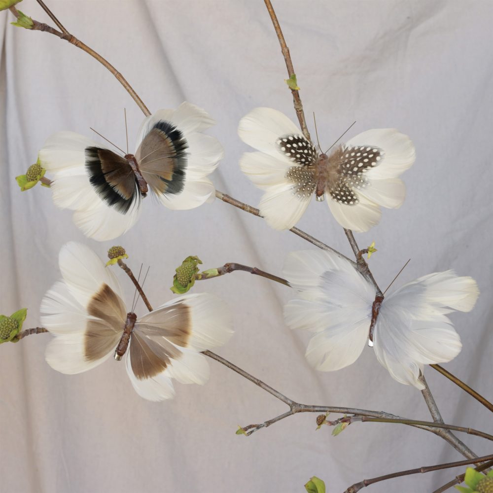 Brown and White Natural Feather Butterflies on Clip Assortment of 8 by HomArt