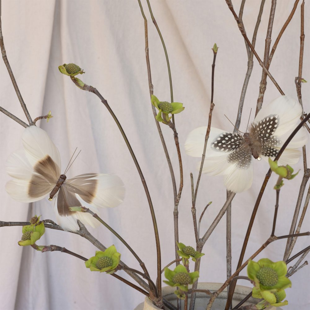 Brown and White Natural Feather Butterflies on Clip Assortment of 8 by HomArt - Image 2