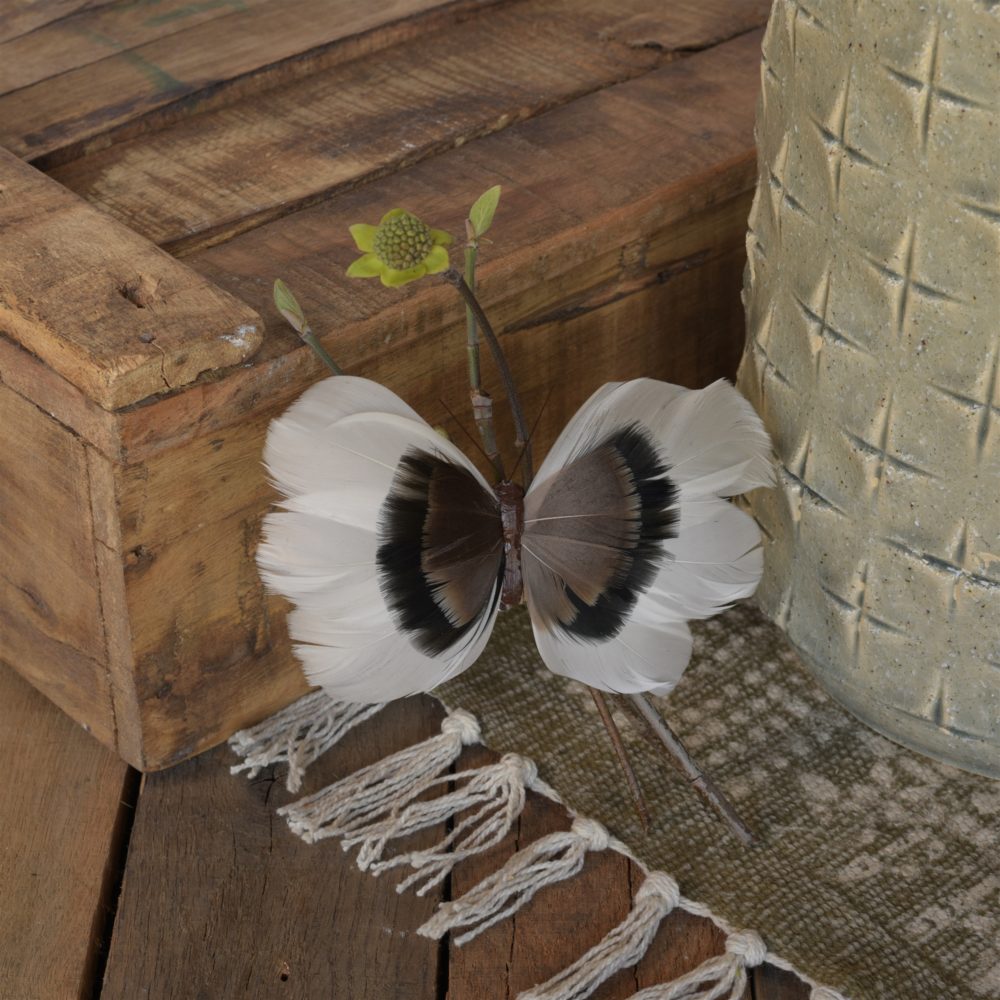 Brown and White Natural Feather Butterflies on Clip Assortment of 8 by HomArt - Image 4