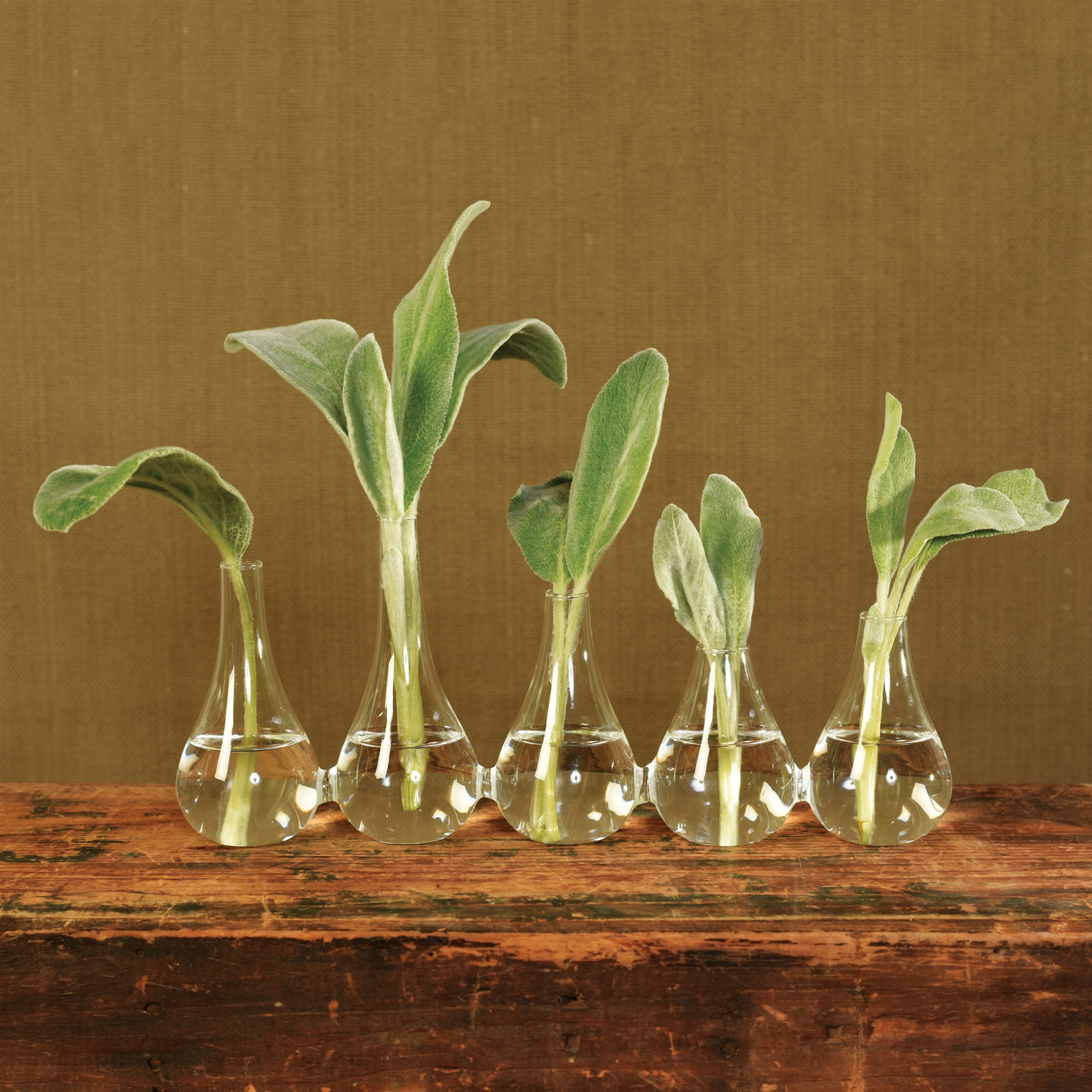 Large Quintet Glass Vase by HomArt