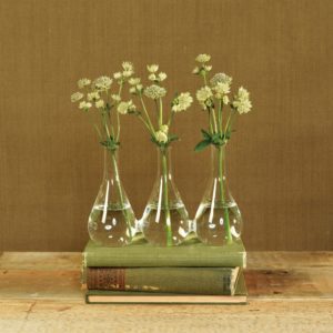 Trio Glass Vase by HomArt