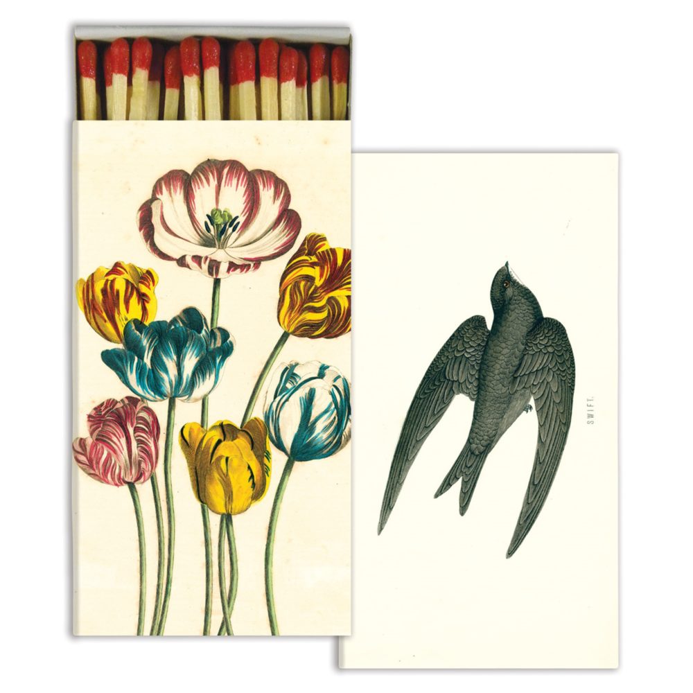 Variegated Tulips and Swift Matches Set of 6 by HomArt