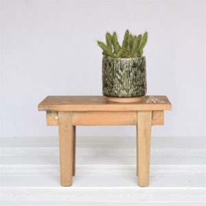 Large Green Cactus Motif Cachepot by HomArt