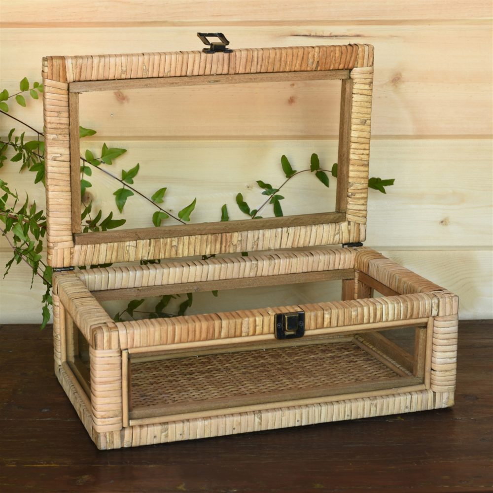 Cayman Rattan Display Case by HomArt - Image 3