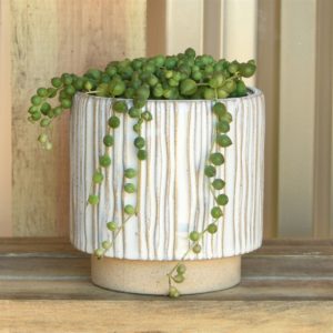 Ramos Vertical Stripe Cachepot Set of 2 by HomArt