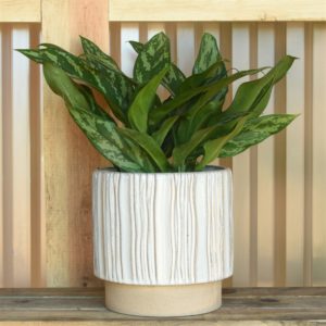 Ramos Vertical Stripe Cachepot by HomArt