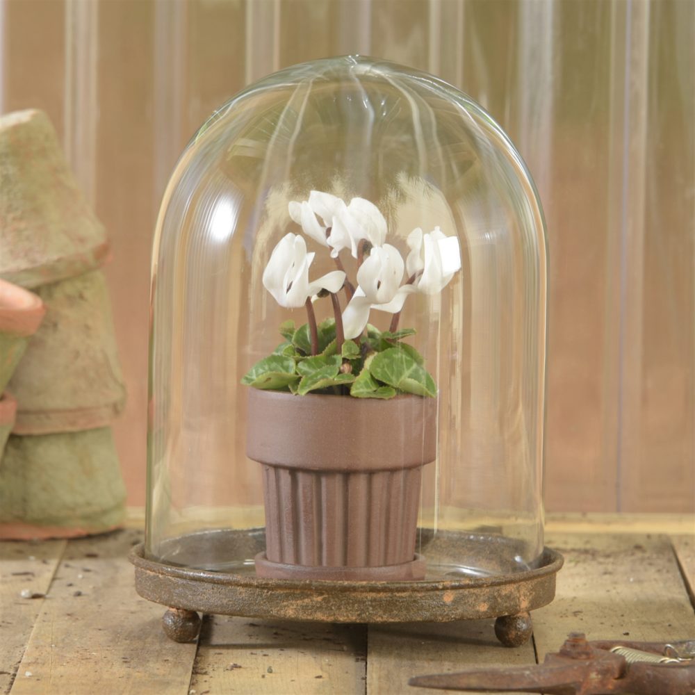 Mirabelle Vitrine by HomArt