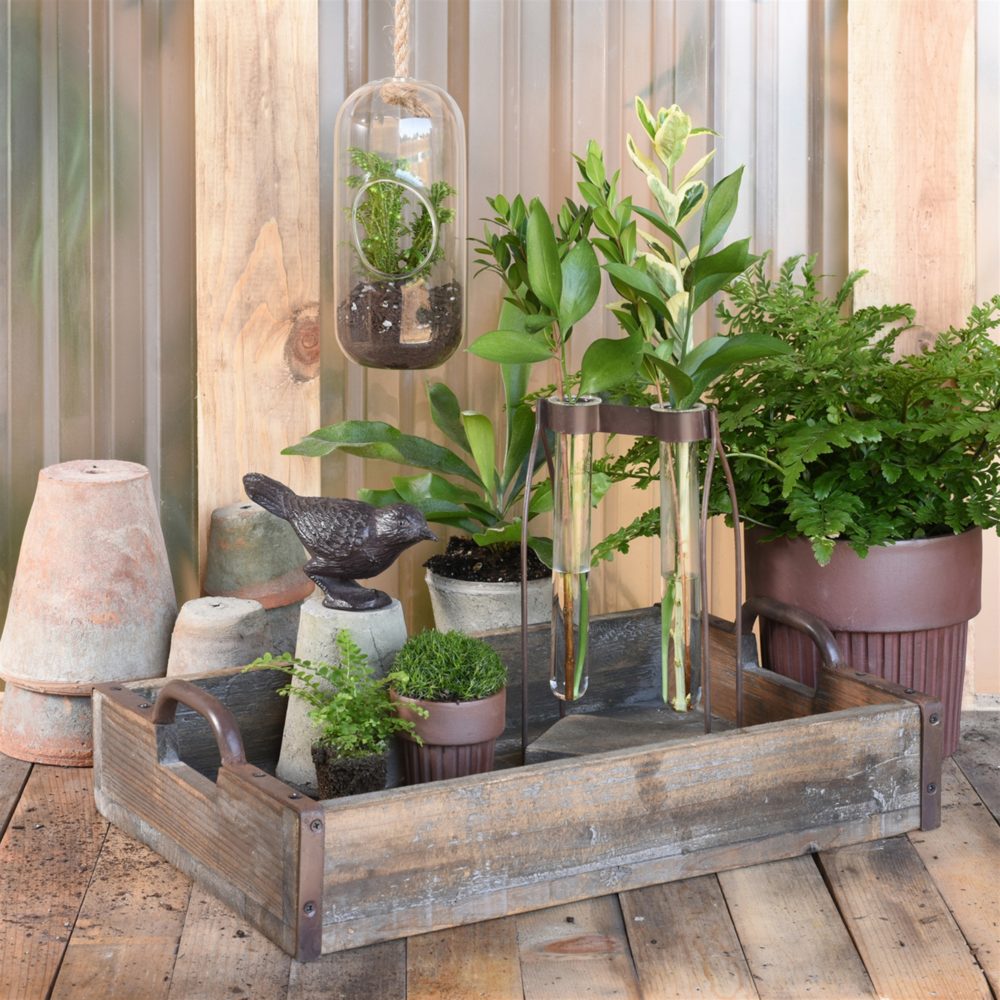 Mirabelle Wood, Iron and Glass Tube Vases by HomArt - Image 3