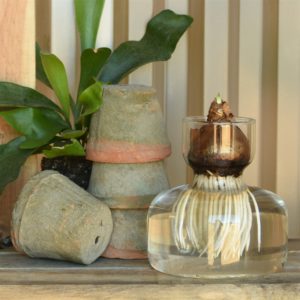 Wide Bottom Bulb Vase Set of 2 by HomArt