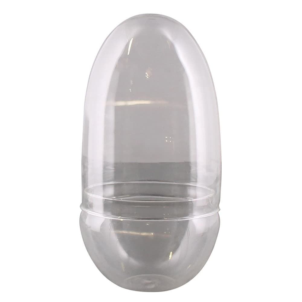 Large Sole Glass Oval Terrarium by HomArt