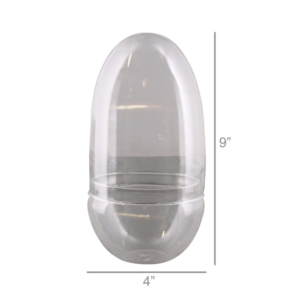 Large Sole Glass Oval Terrarium by HomArt - Image 3