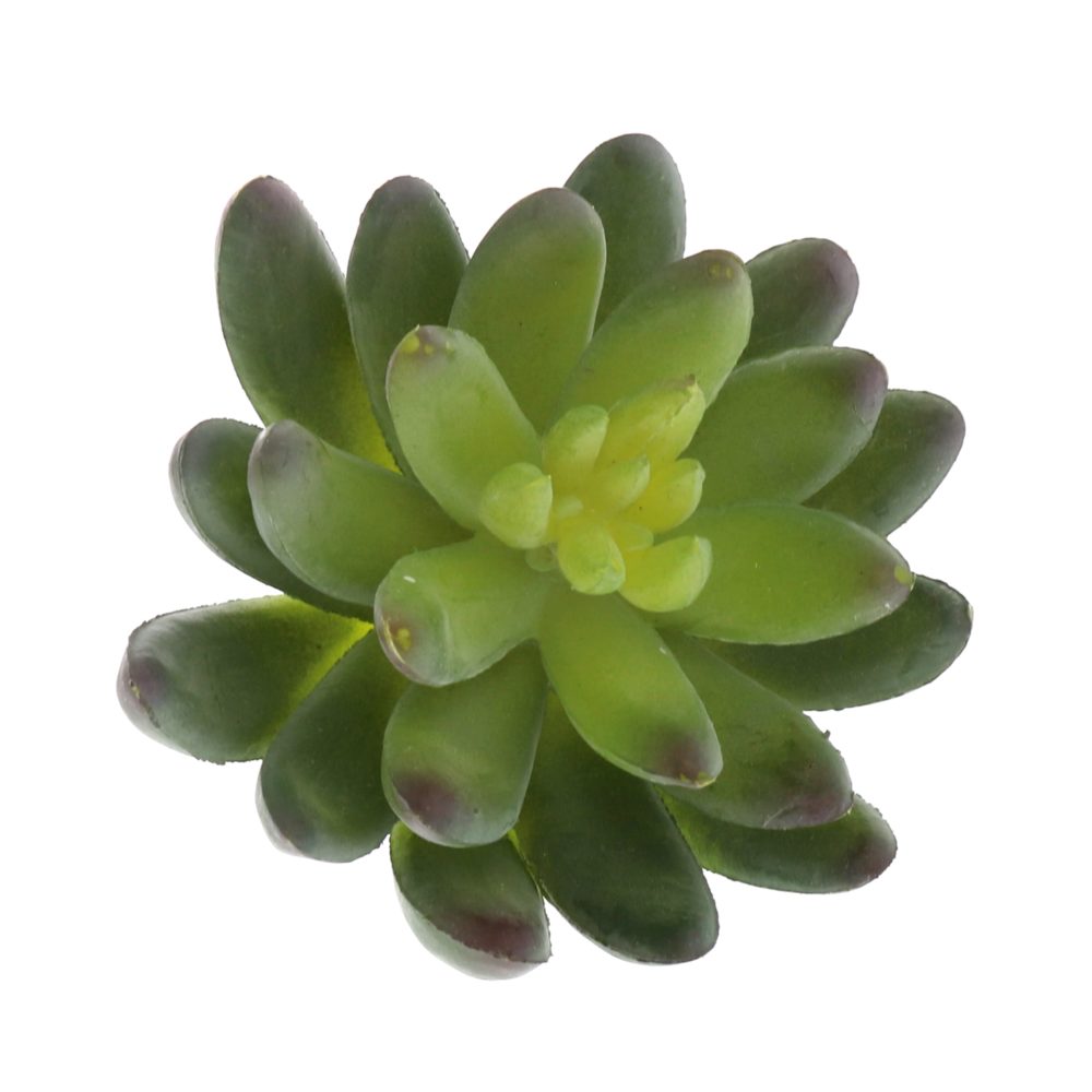 Large Green Faux Succulent Set of 3 by HomArt