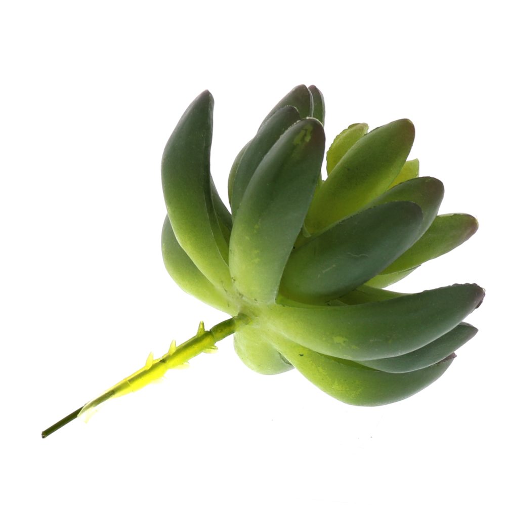 Large Green Faux Succulent Set of 3 by HomArt - Image 2