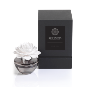 Illuminaria Spanish Dahlia Porcelain Diffuser in Gray Bottle and Gift Box by Zodax