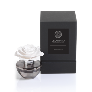 Illuminaria Tahitian Gardenia Porcelain Diffuser in Gray Bottle by Zodax